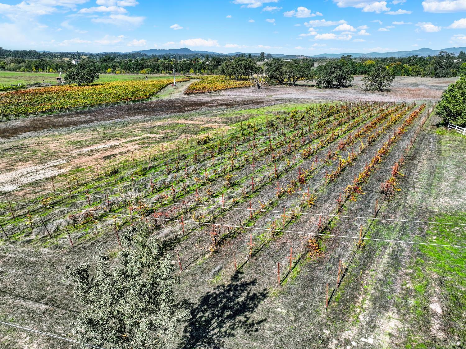 Detail Gallery Image 2 of 24 For 5695 Bravo Toro Ln, Santa Rosa,  CA 95401 - – Beds | – Baths