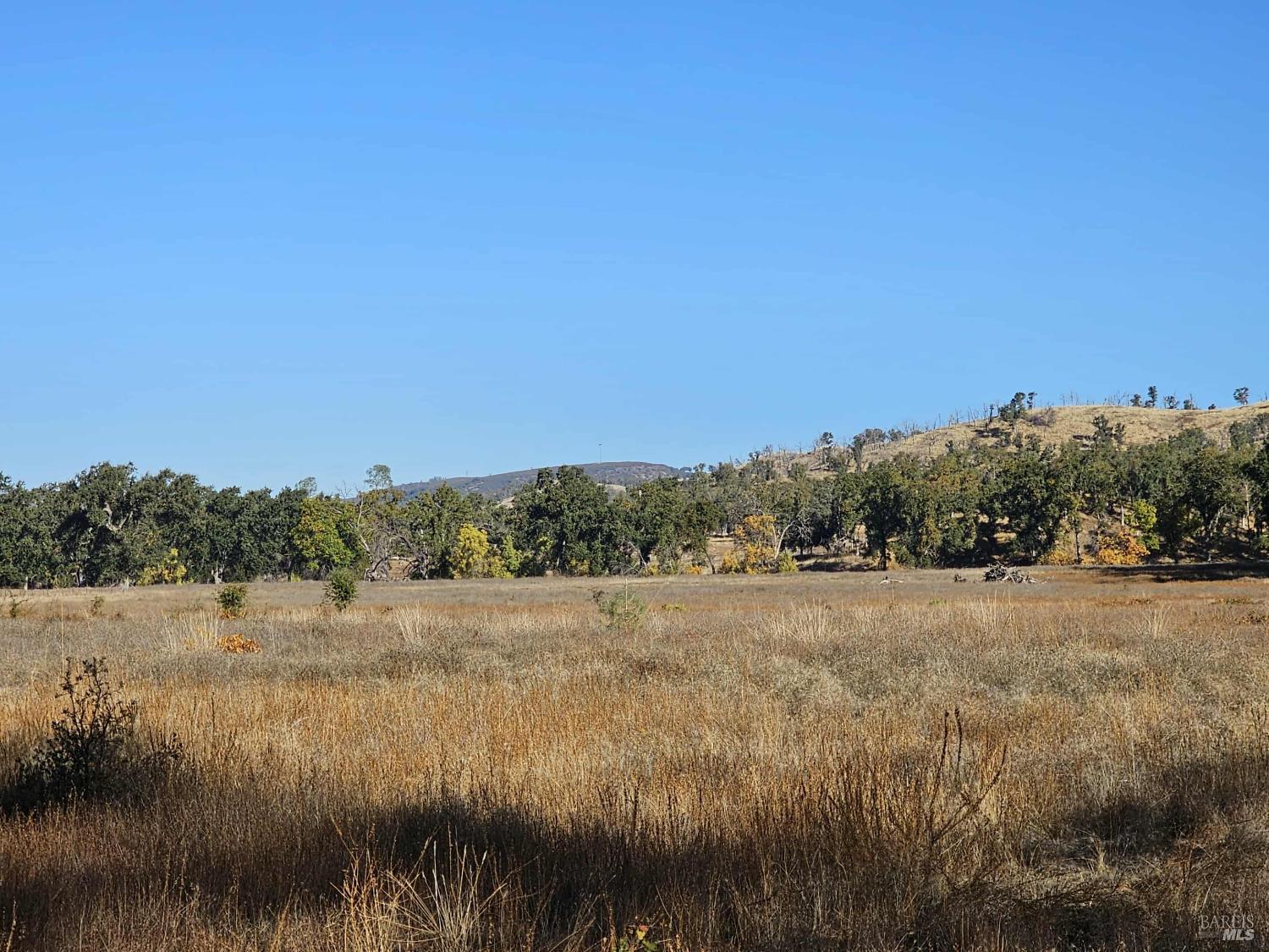 Detail Gallery Image 5 of 29 For 17680 Morgan Valley Rd, Lower Lake,  CA 95457 - – Beds | – Baths