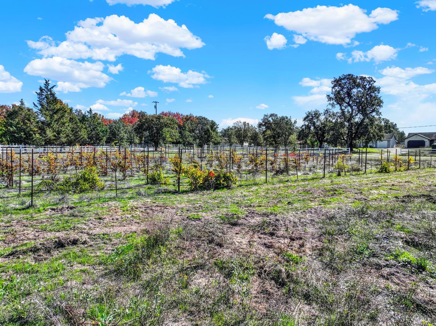 Detail Gallery Image 20 of 24 For 5695 Bravo Toro Ln, Santa Rosa,  CA 95401 - – Beds | – Baths