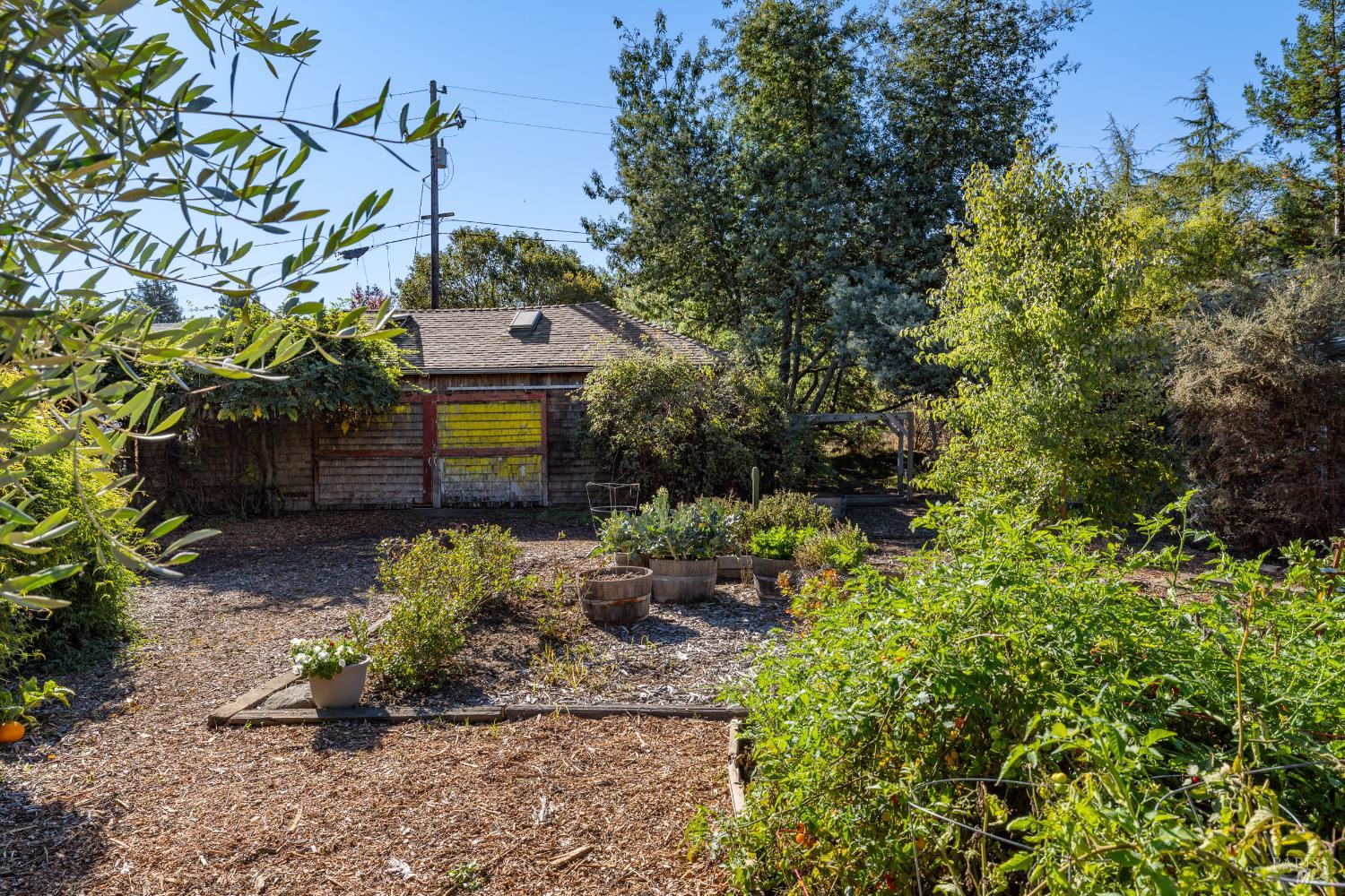 Detail Gallery Image 22 of 43 For 3765 Twig Ave, Sebastopol,  CA 95472 - 3 Beds | 1 Baths