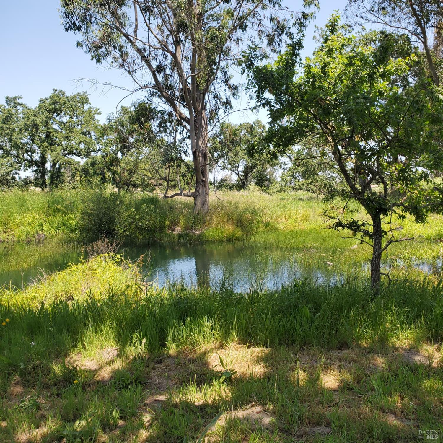 Detail Gallery Image 24 of 27 For 6060 Oak Ave, Cotati,  CA 94931 - 4 Beds | 2 Baths