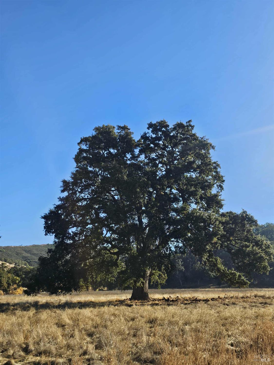 Detail Gallery Image 8 of 29 For 17680 Morgan Valley Rd, Lower Lake,  CA 95457 - – Beds | – Baths