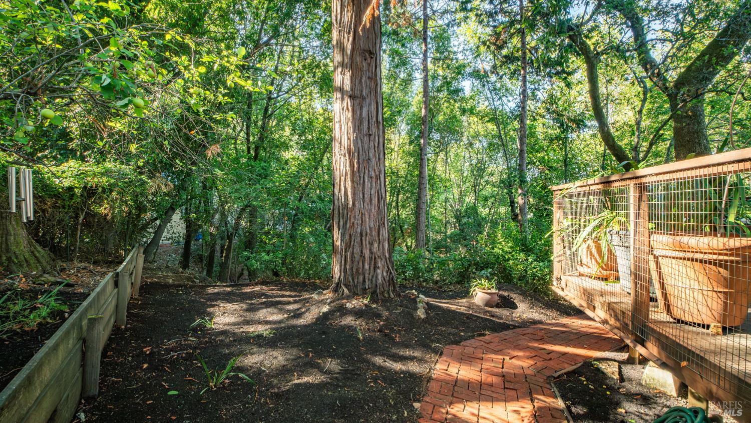 Detail Gallery Image 58 of 77 For 150 Bungalow Ave, San Rafael,  CA 94901 - 4 Beds | 2 Baths