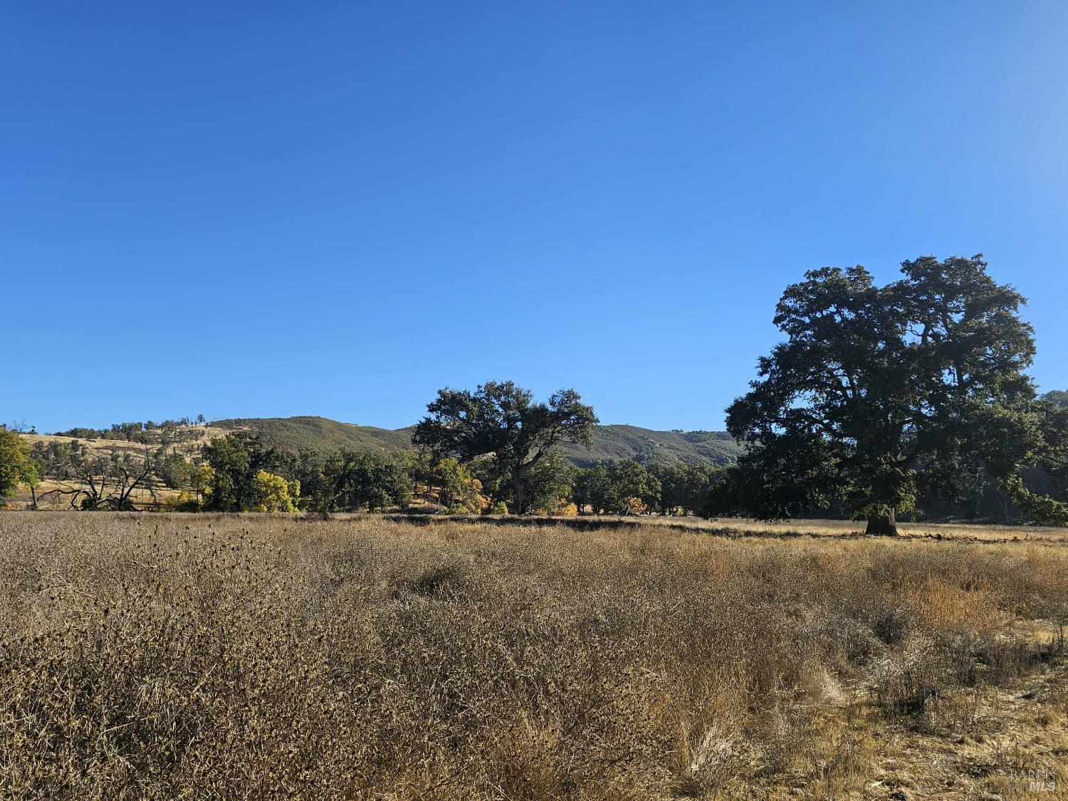 Detail Gallery Image 6 of 29 For 17680 Morgan Valley Rd, Lower Lake,  CA 95457 - – Beds | – Baths