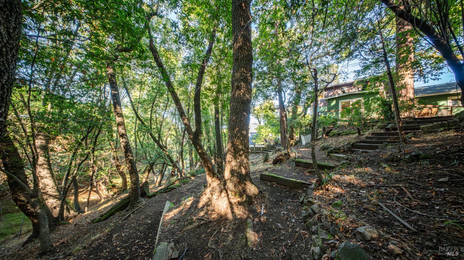 Detail Gallery Image 61 of 77 For 150 Bungalow Ave, San Rafael,  CA 94901 - 4 Beds | 2 Baths