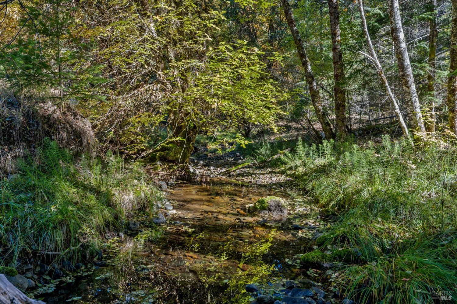 Detail Gallery Image 4 of 16 For 61051 Bell Springs Rd, Laytonville,  CA 95454 - – Beds | – Baths