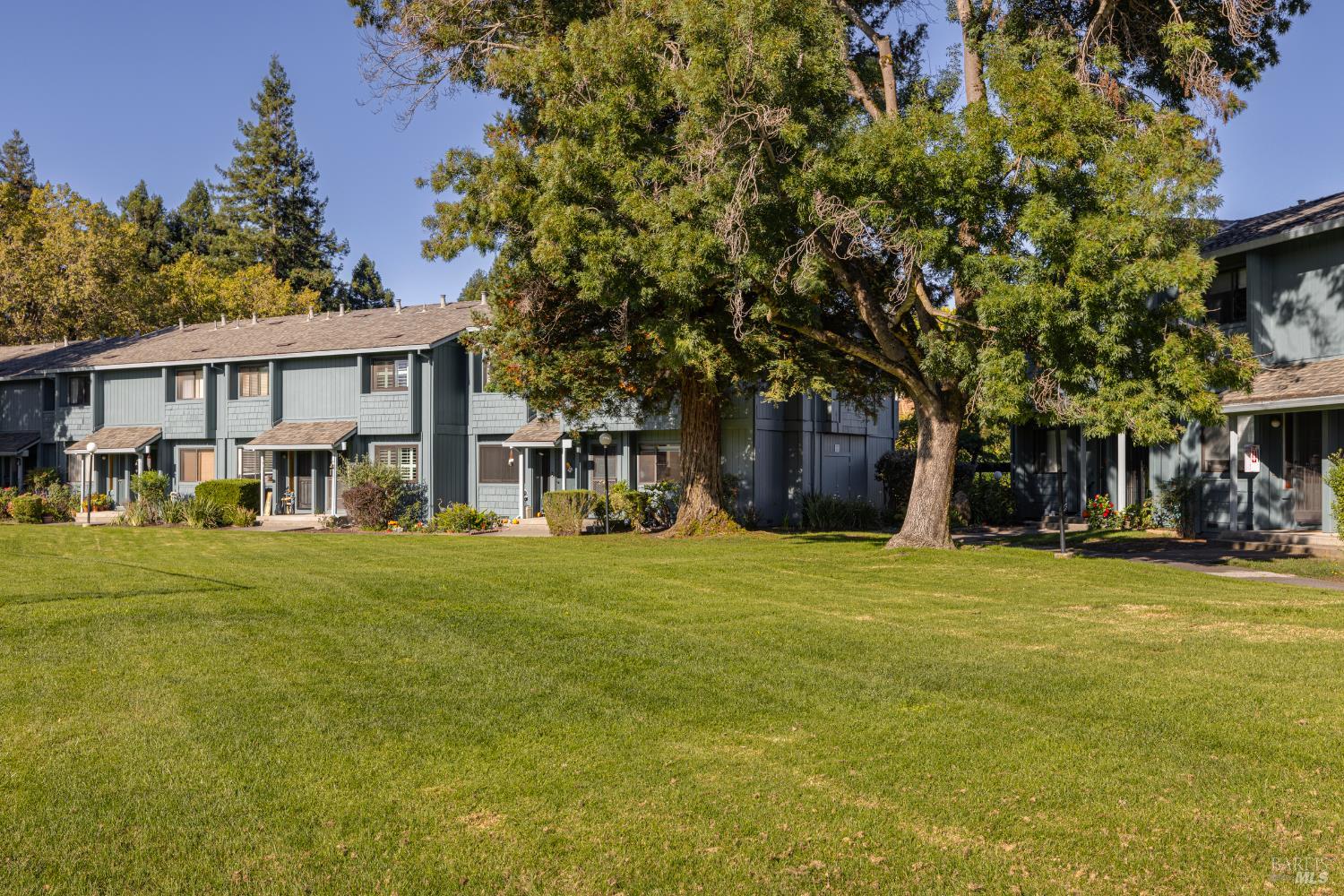 Detail Gallery Image 40 of 46 For 219 College View Dr, Rohnert Park,  CA 94928 - 3 Beds | 1/1 Baths