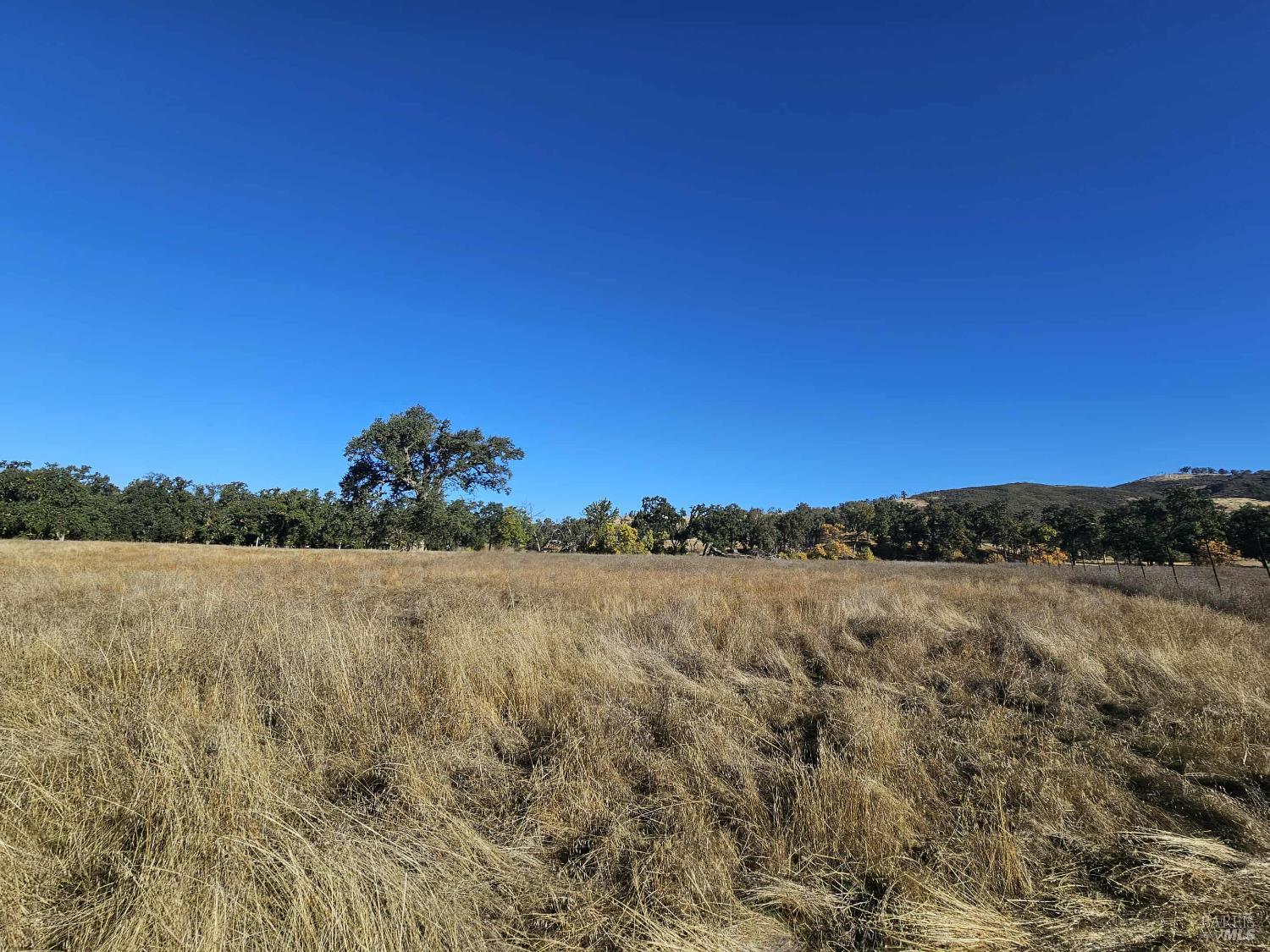 Detail Gallery Image 9 of 29 For 17680 Morgan Valley Rd, Lower Lake,  CA 95457 - – Beds | – Baths