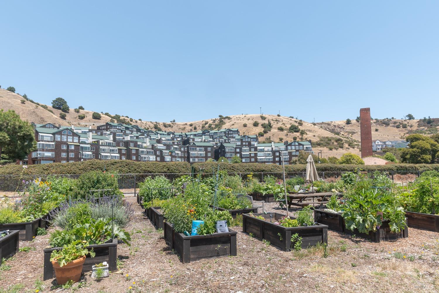 Detail Gallery Image 22 of 28 For 1201 Brickyard Way #205,  Richmond,  CA 94801 - 1 Beds | 1 Baths