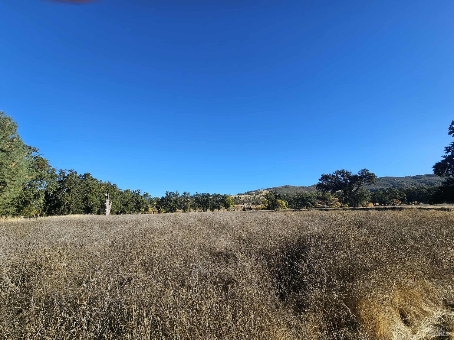 Detail Gallery Image 21 of 29 For 17680 Morgan Valley Rd, Lower Lake,  CA 95457 - – Beds | – Baths