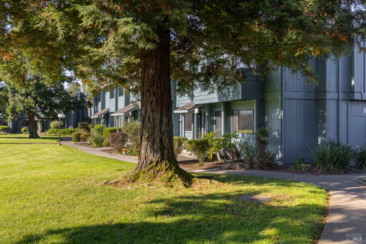 Detail Gallery Image 35 of 46 For 219 College View Dr, Rohnert Park,  CA 94928 - 3 Beds | 1/1 Baths