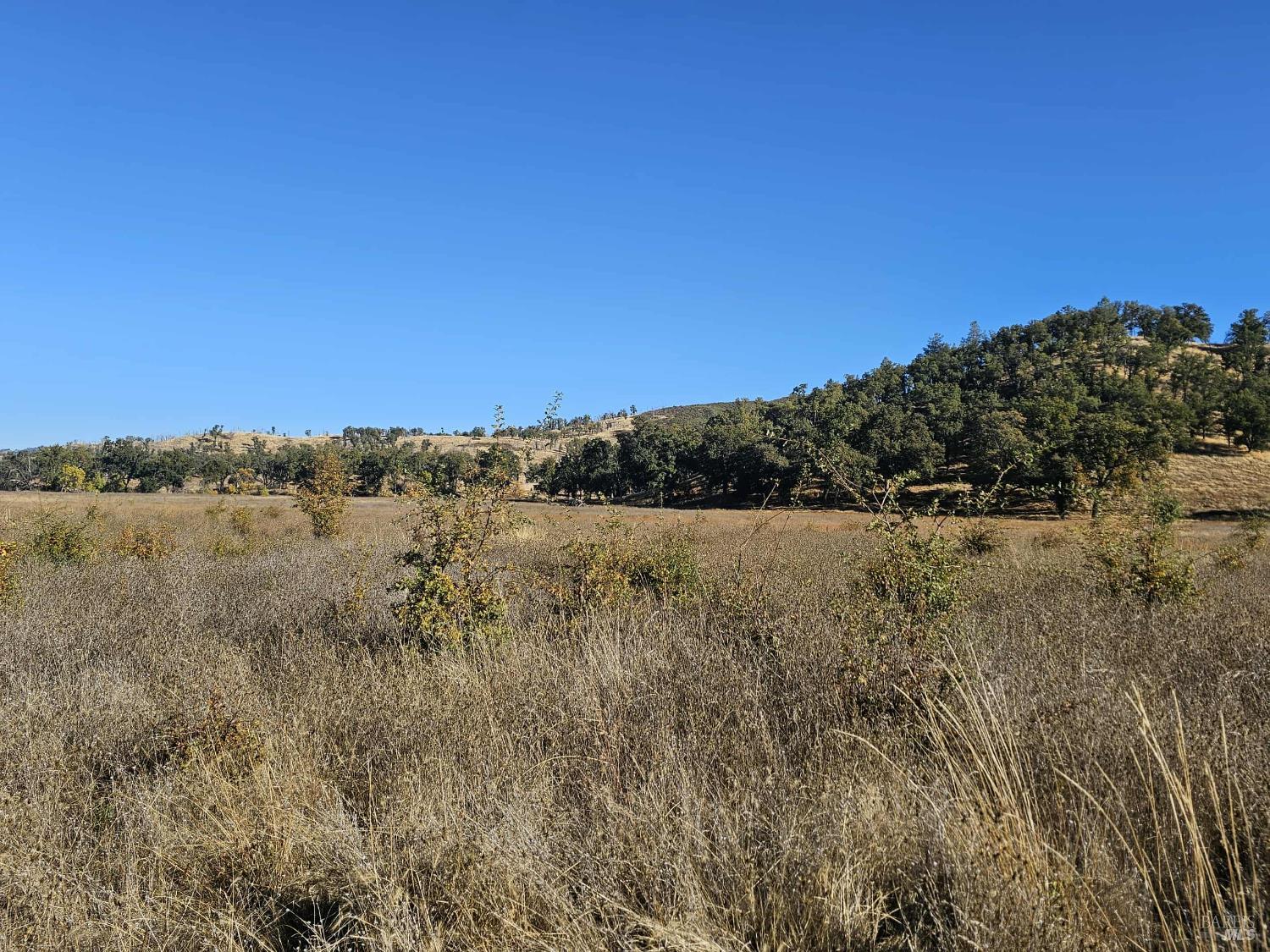 Detail Gallery Image 17 of 29 For 17680 Morgan Valley Rd, Lower Lake,  CA 95457 - – Beds | – Baths