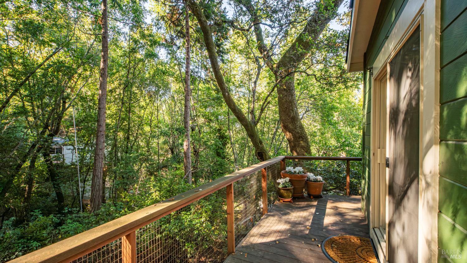 Detail Gallery Image 55 of 77 For 150 Bungalow Ave, San Rafael,  CA 94901 - 4 Beds | 2 Baths