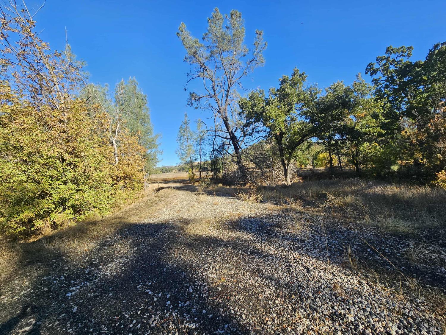 Front Image Thumbnail for BA325093251