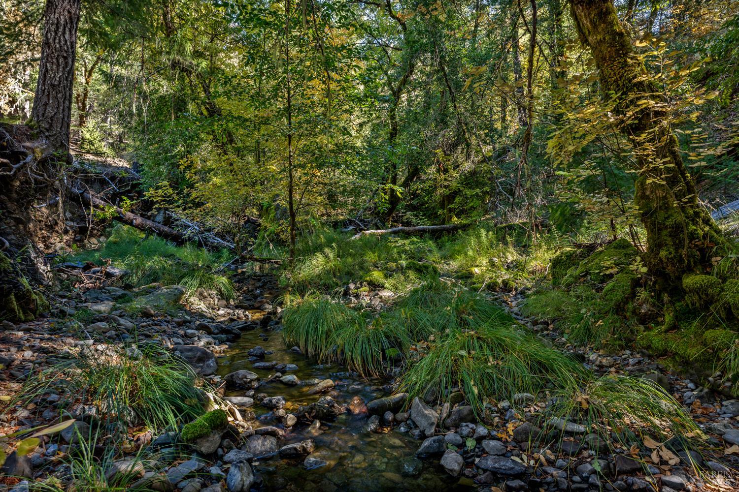 Detail Gallery Image 9 of 16 For 61051 Bell Springs Rd, Laytonville,  CA 95454 - – Beds | – Baths