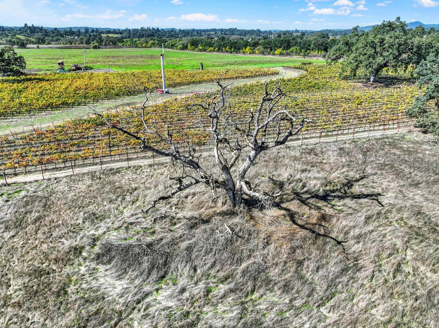 Detail Gallery Image 7 of 24 For 5695 Bravo Toro Ln, Santa Rosa,  CA 95401 - – Beds | – Baths