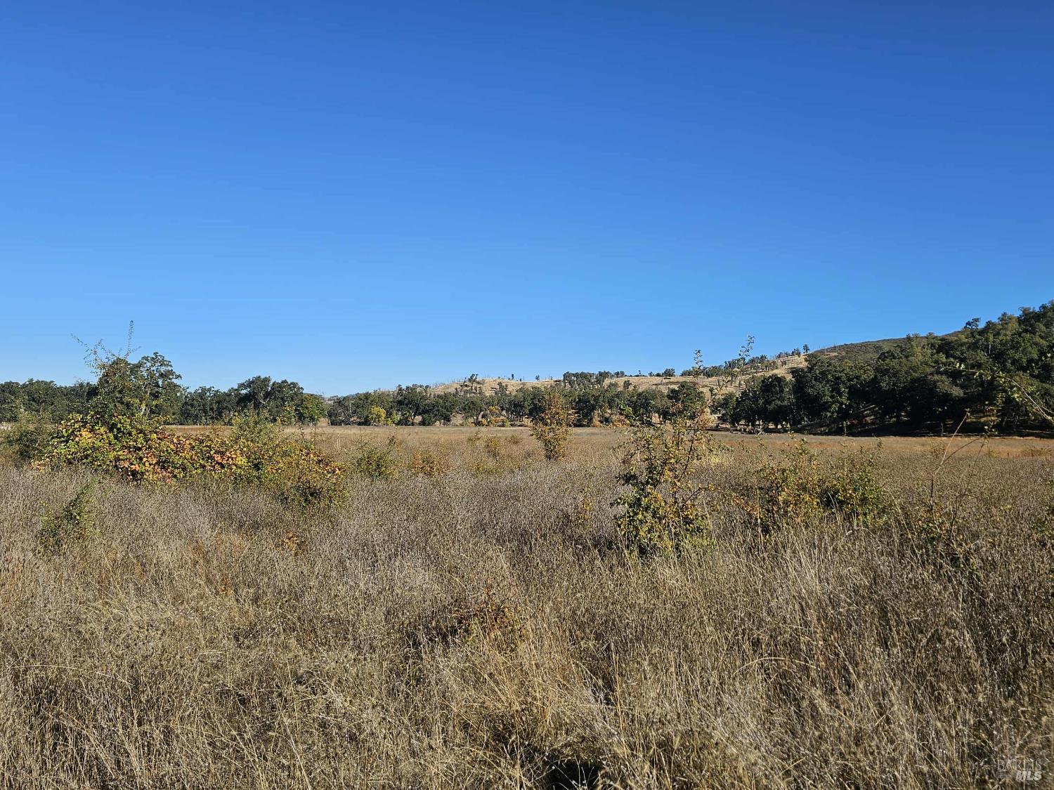 Detail Gallery Image 18 of 29 For 17680 Morgan Valley Rd, Lower Lake,  CA 95457 - – Beds | – Baths