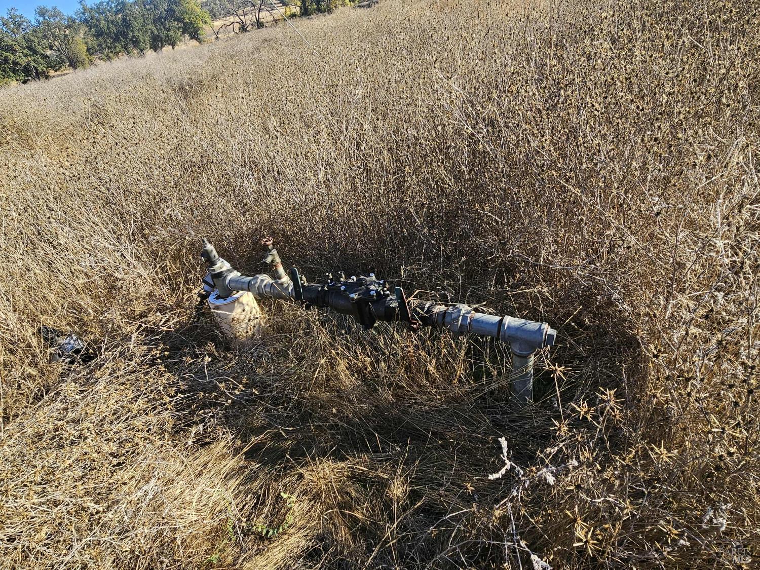 Detail Gallery Image 12 of 29 For 17680 Morgan Valley Rd, Lower Lake,  CA 95457 - – Beds | – Baths