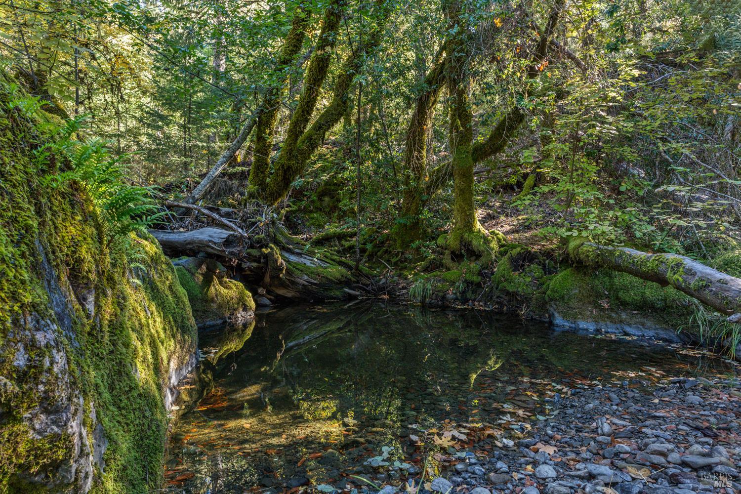 Detail Gallery Image 8 of 16 For 61051 Bell Springs Rd, Laytonville,  CA 95454 - – Beds | – Baths