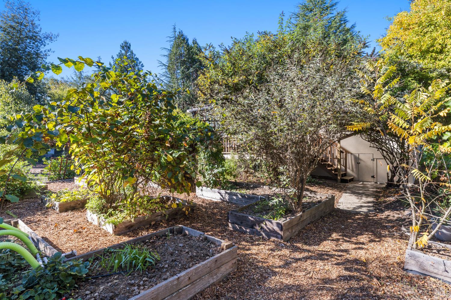 Detail Gallery Image 34 of 43 For 3765 Twig Ave, Sebastopol,  CA 95472 - 3 Beds | 1 Baths
