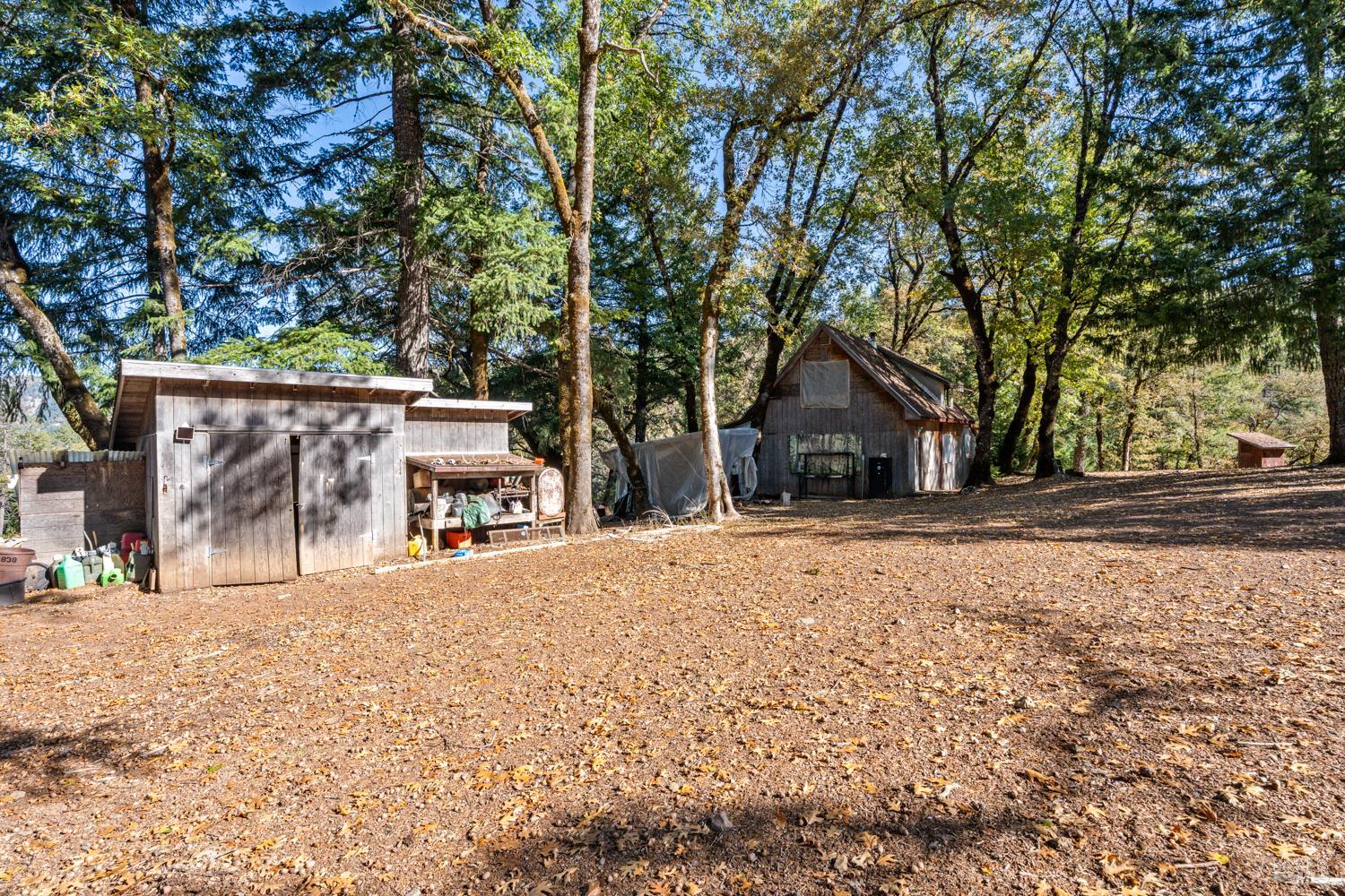 Front Image Thumbnail for BA325092696