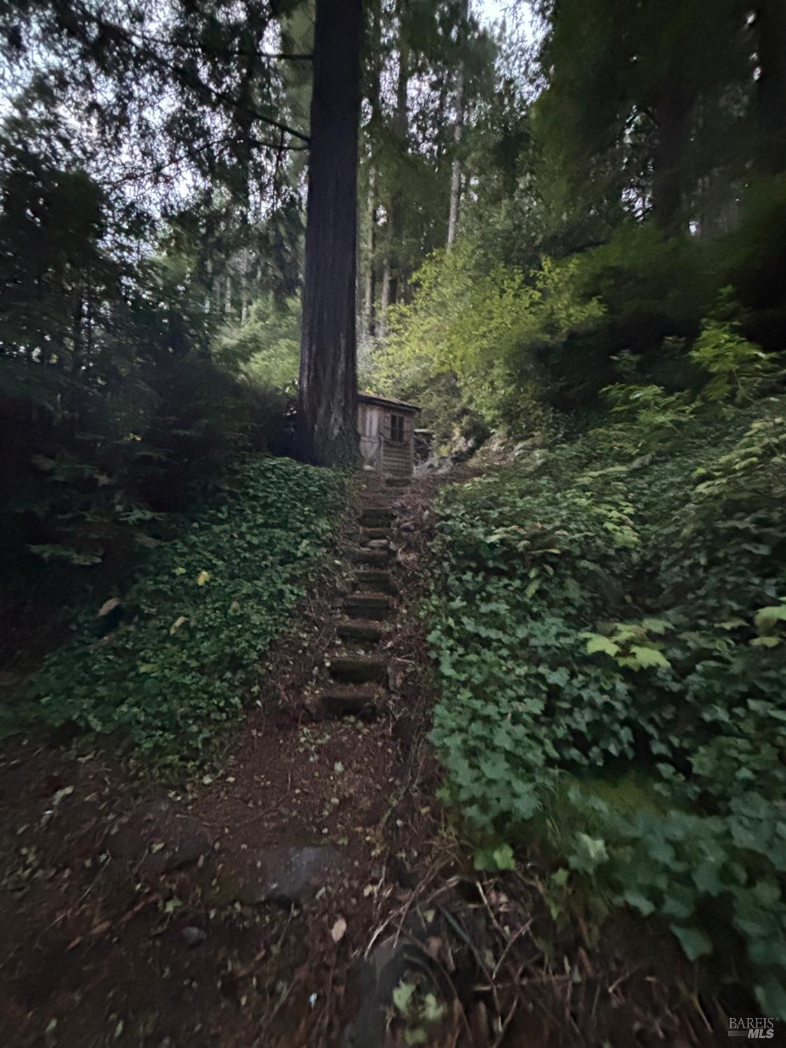 Detail Gallery Image 76 of 77 For 11 Huckleberry Hts, Cazadero,  CA 95421 - 2 Beds | 3 Baths