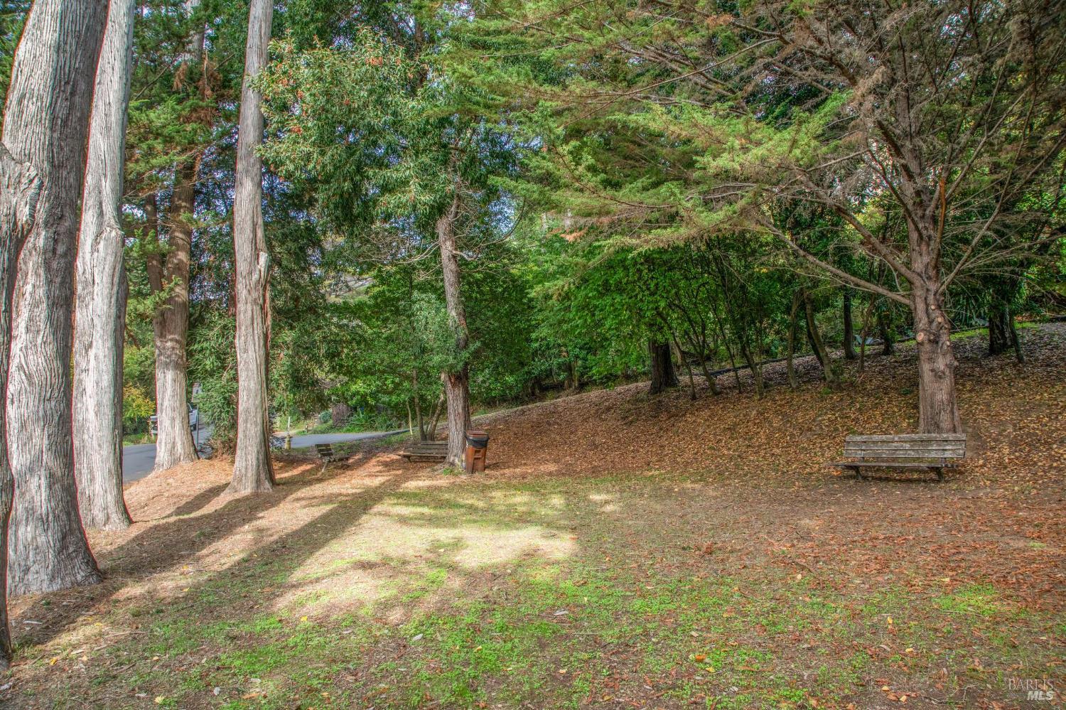 Detail Gallery Image 61 of 62 For 362 Pine Hill Rd, Mill Valley,  CA 94941 - 3 Beds | 2 Baths