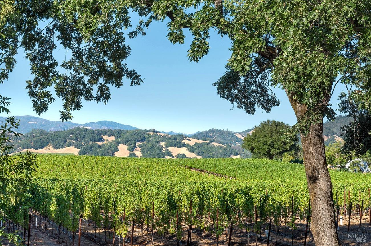 Detail Gallery Image 6 of 39 For 5566 Highway 128 Unkn, Geyserville,  CA 95441 - 3 Beds | 2 Baths