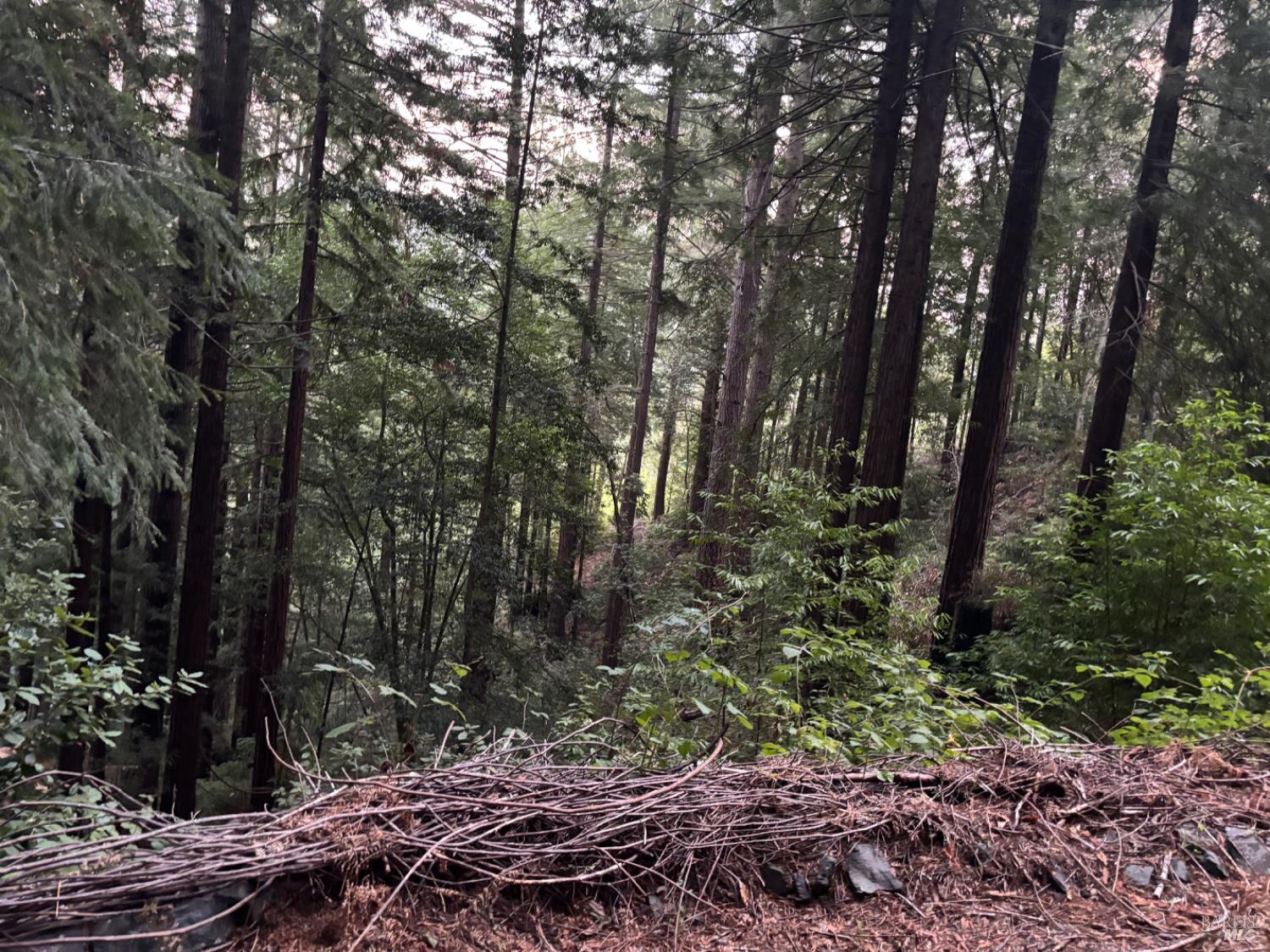 Detail Gallery Image 69 of 77 For 11 Huckleberry Hts, Cazadero,  CA 95421 - 2 Beds | 3 Baths