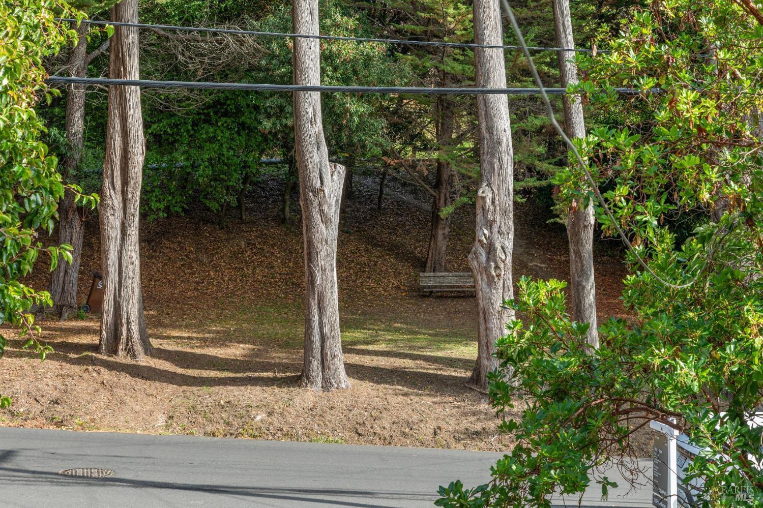 Detail Gallery Image 38 of 62 For 362 Pine Hill Rd, Mill Valley,  CA 94941 - 3 Beds | 2 Baths