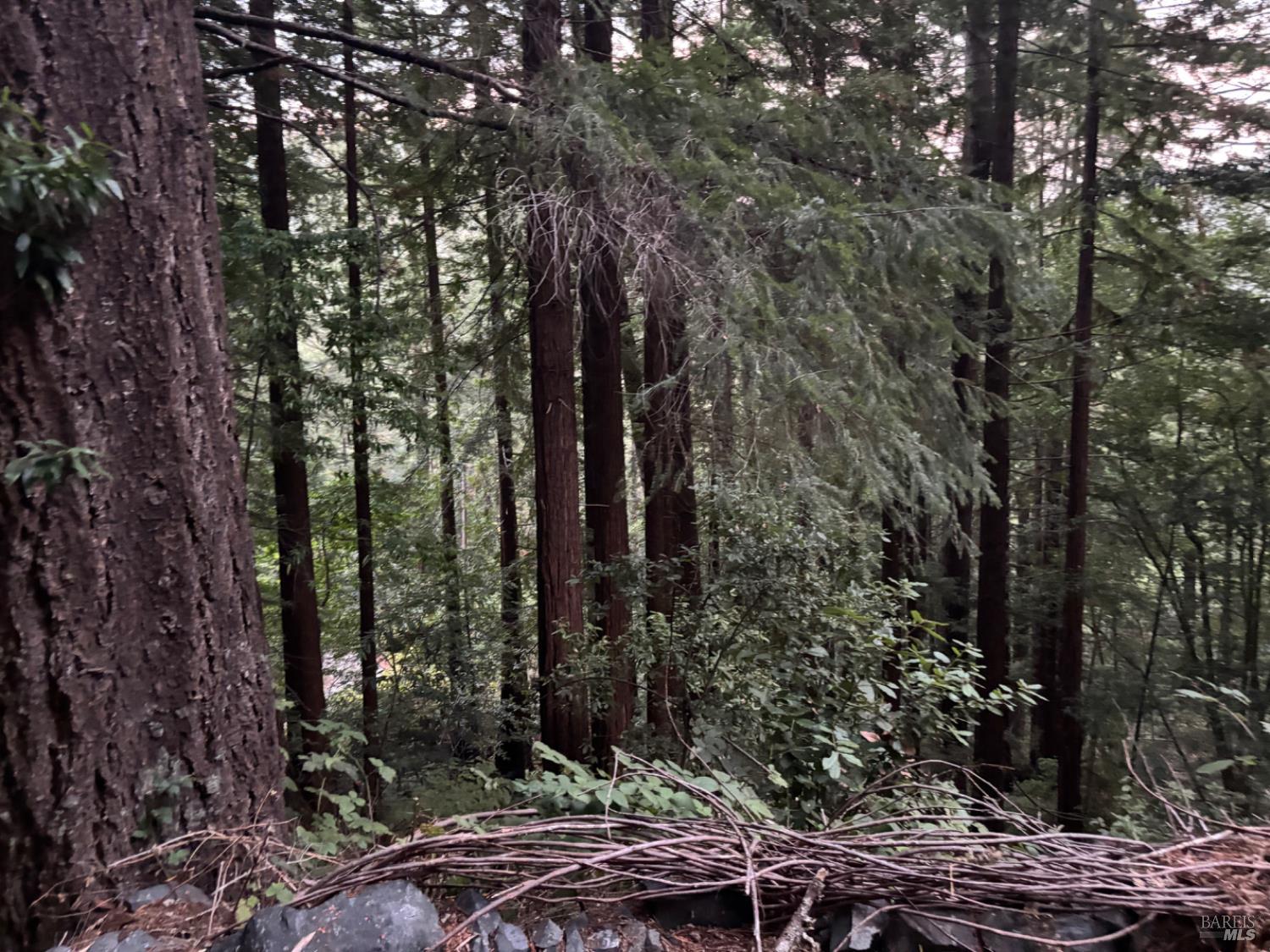 Detail Gallery Image 71 of 77 For 11 Huckleberry Hts, Cazadero,  CA 95421 - 2 Beds | 3 Baths