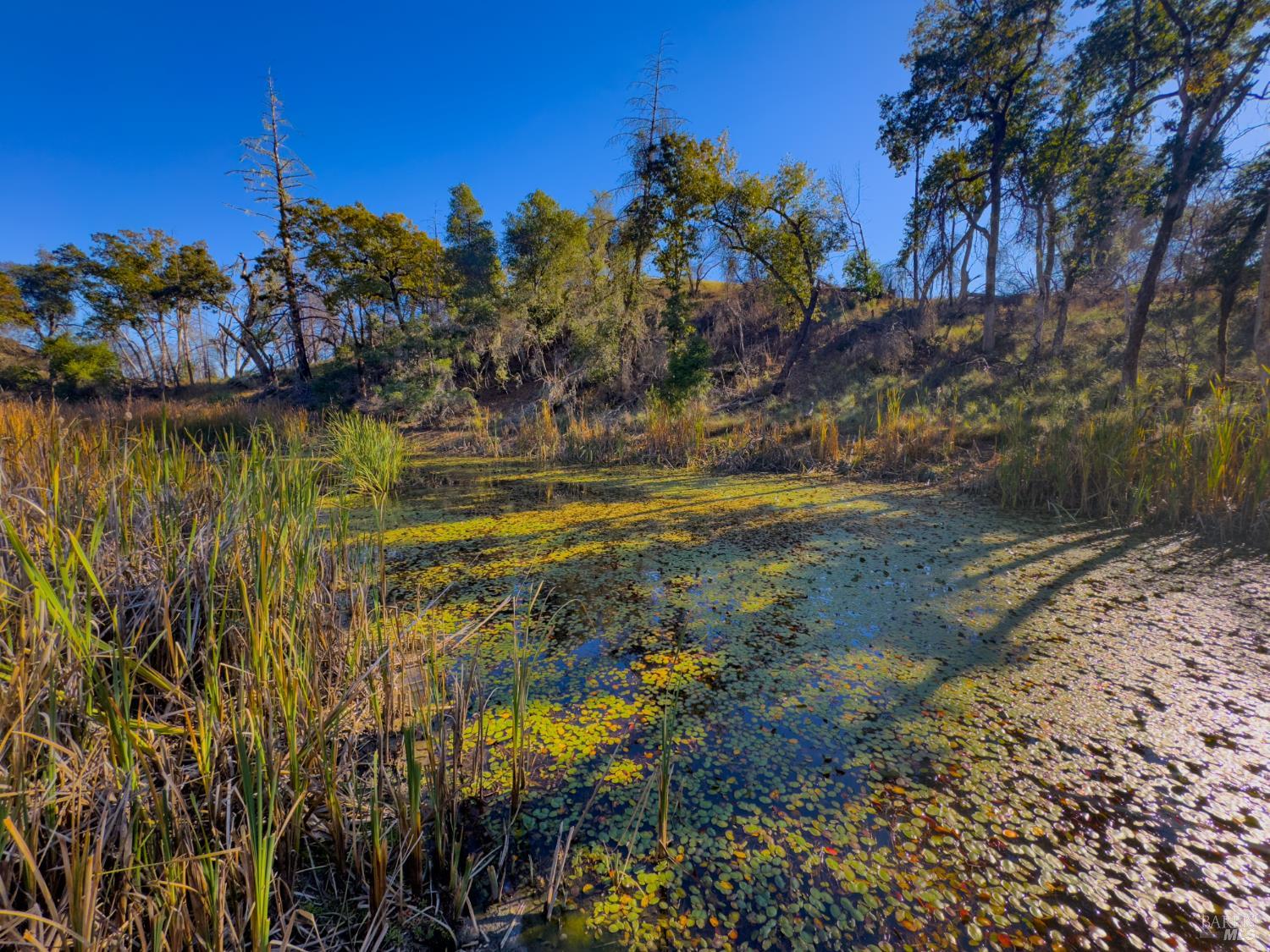 Front Image Thumbnail for BA325093649