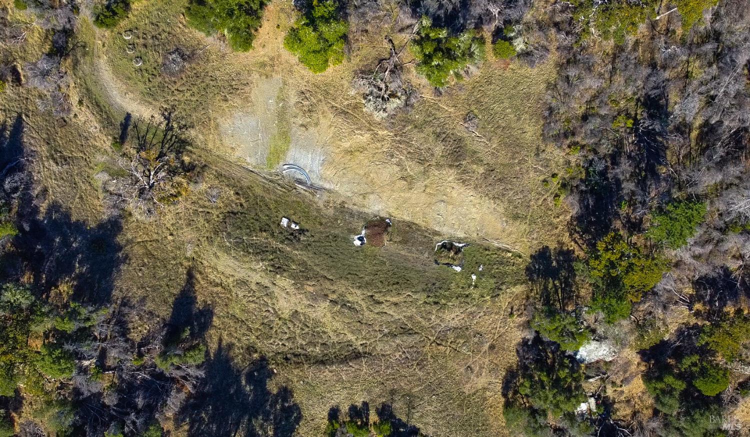 Detail Gallery Image 6 of 16 For 9501 Big John Rd, Willits,  CA 95490 - – Beds | – Baths