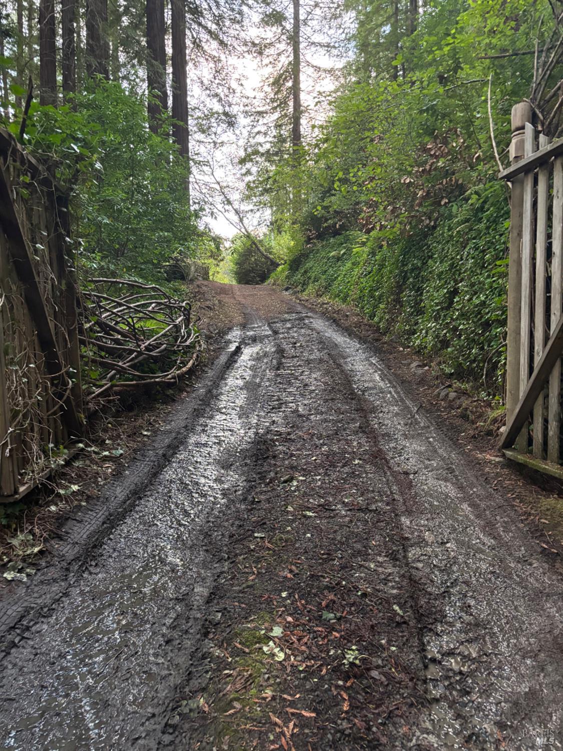 Detail Gallery Image 61 of 77 For 11 Huckleberry Hts, Cazadero,  CA 95421 - 2 Beds | 3 Baths