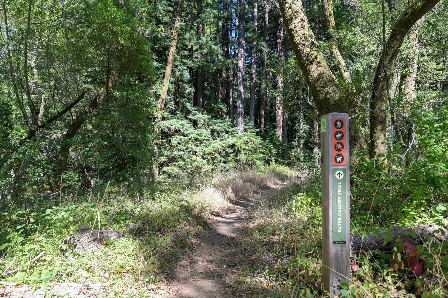 Detail Gallery Image 13 of 17 For 1 Meadow View Ln, San Geronimo,  CA 94963 - – Beds | – Baths