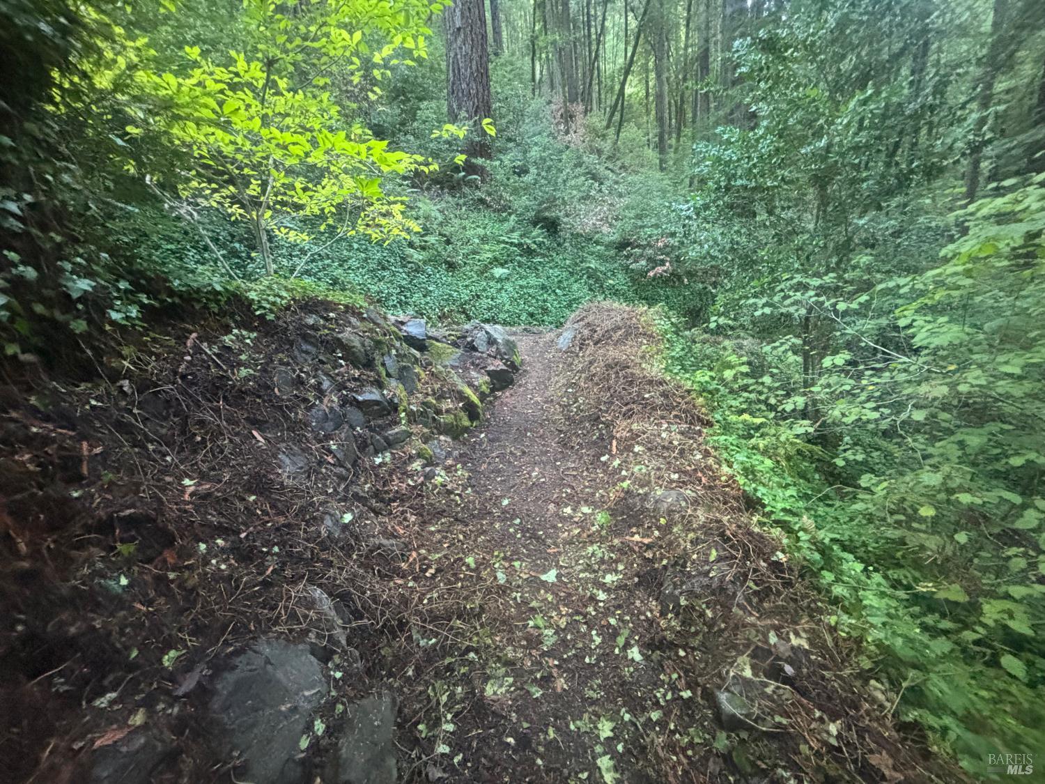 Detail Gallery Image 58 of 77 For 11 Huckleberry Hts, Cazadero,  CA 95421 - 2 Beds | 3 Baths