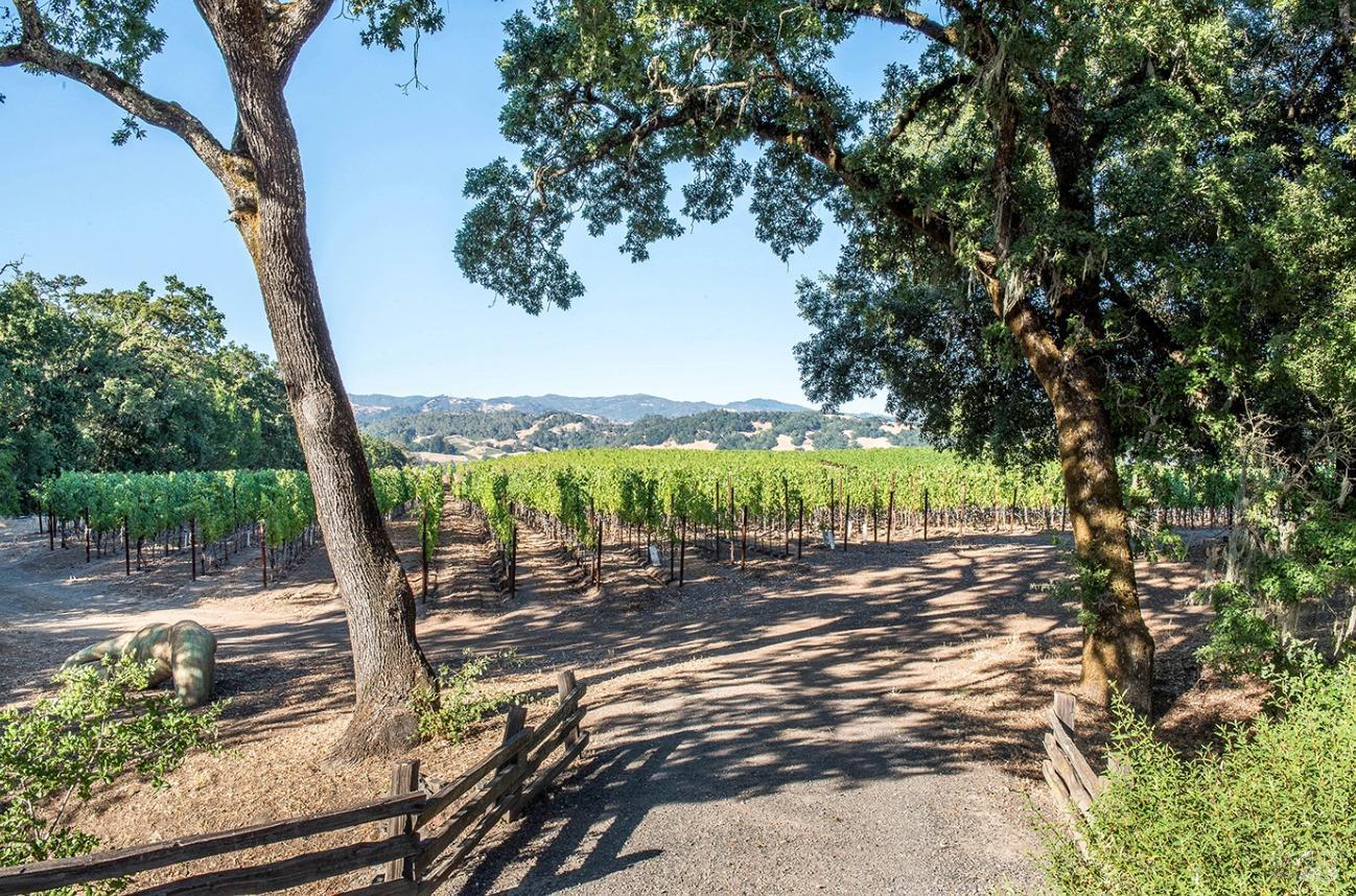 Detail Gallery Image 14 of 39 For 5566 Highway 128 Unkn, Geyserville,  CA 95441 - 3 Beds | 2 Baths