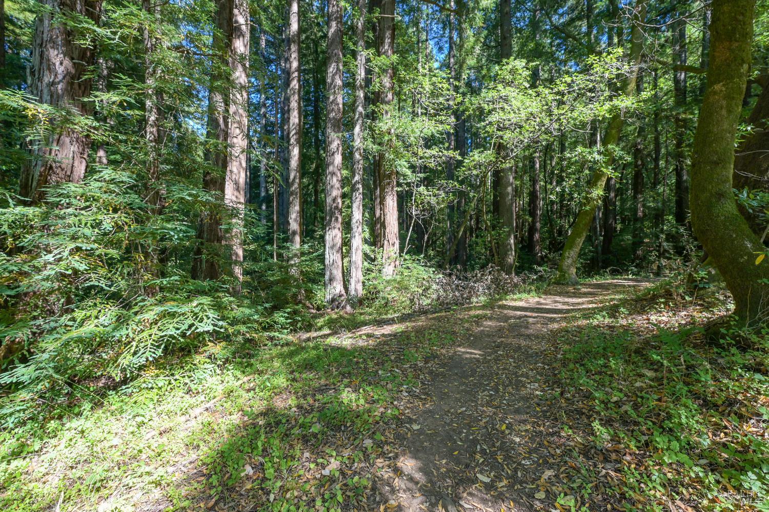Detail Gallery Image 14 of 17 For 1 Meadow View Ln, San Geronimo,  CA 94963 - – Beds | – Baths
