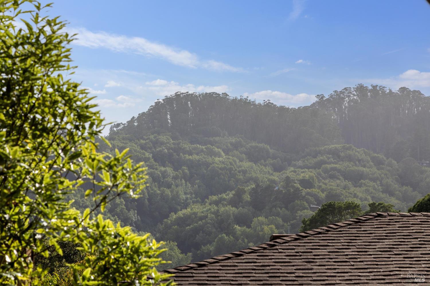 Detail Gallery Image 34 of 62 For 362 Pine Hill Rd, Mill Valley,  CA 94941 - 3 Beds | 2 Baths