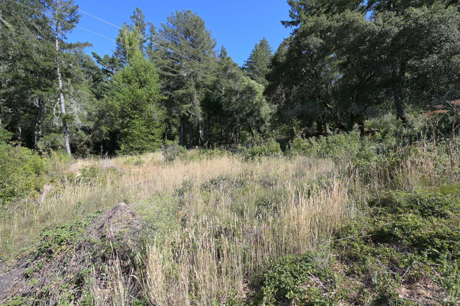 Detail Gallery Image 2 of 17 For 1 Meadow View Ln, San Geronimo,  CA 94963 - – Beds | – Baths