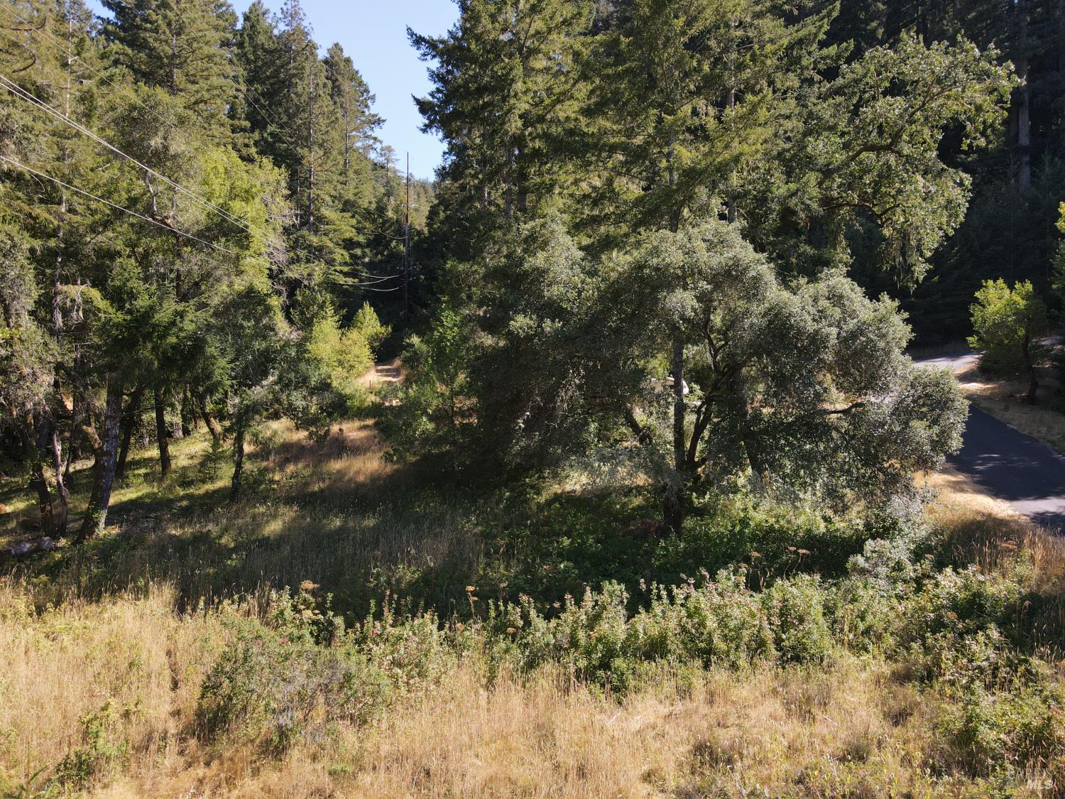 Detail Gallery Image 9 of 17 For 1 Meadow View Ln, San Geronimo,  CA 94963 - – Beds | – Baths