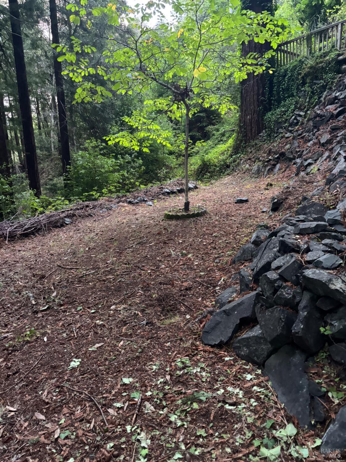 Detail Gallery Image 68 of 77 For 11 Huckleberry Hts, Cazadero,  CA 95421 - 2 Beds | 3 Baths