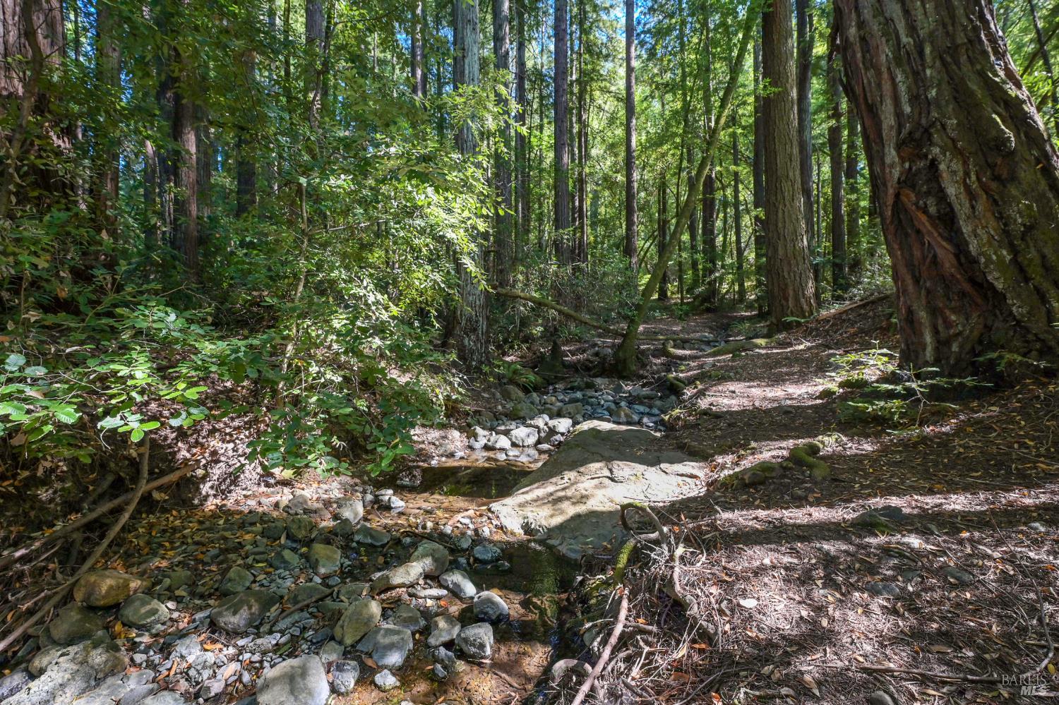 Detail Gallery Image 15 of 17 For 1 Meadow View Ln, San Geronimo,  CA 94963 - – Beds | – Baths