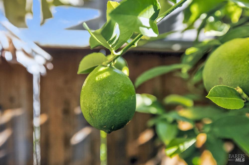 Detail Gallery Image 55 of 62 For 2321 Channing Pl, Fairfield,  CA 94533 - 4 Beds | 2 Baths