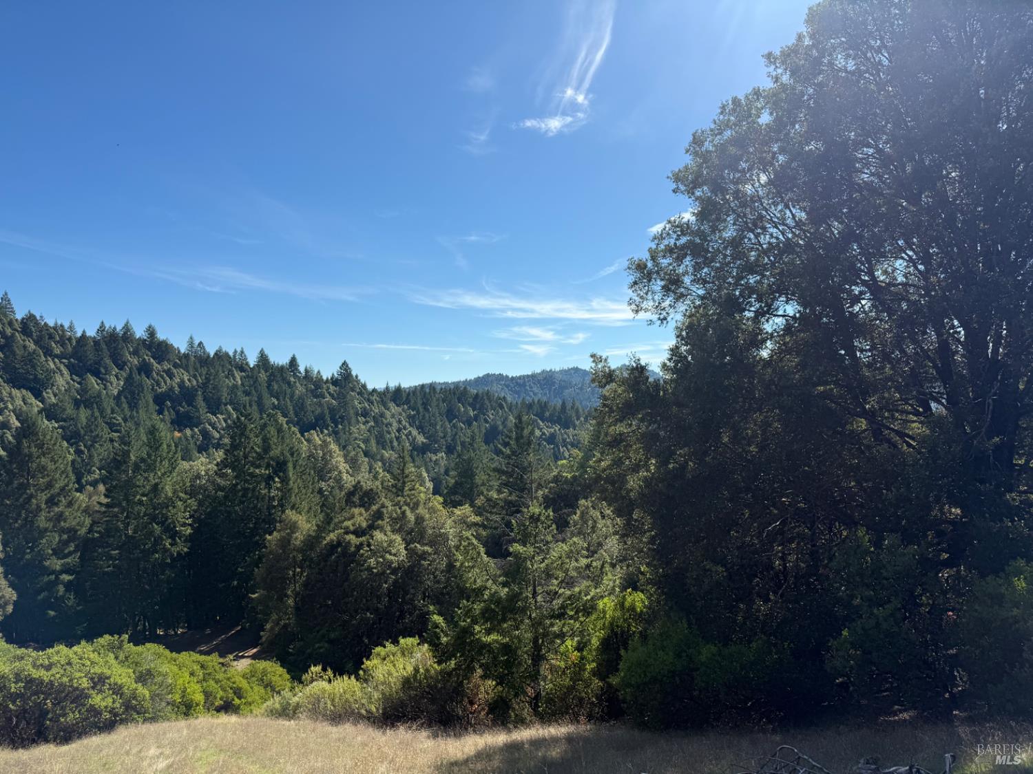 Detail Gallery Image 16 of 35 For 9660 Branscomb Rd, Branscomb,  CA 95417 - – Beds | – Baths