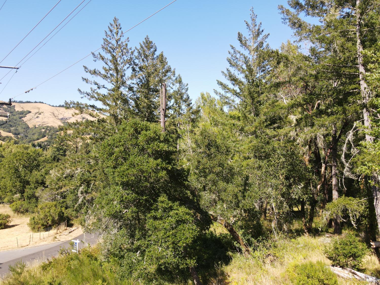 Detail Gallery Image 8 of 17 For 1 Meadow View Ln, San Geronimo,  CA 94963 - – Beds | – Baths