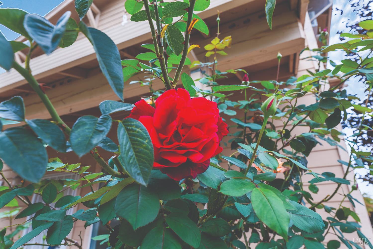 Detail Gallery Image 29 of 30 For 12 Alana Way, Cloverdale,  CA 95425 - 3 Beds | 1/1 Baths