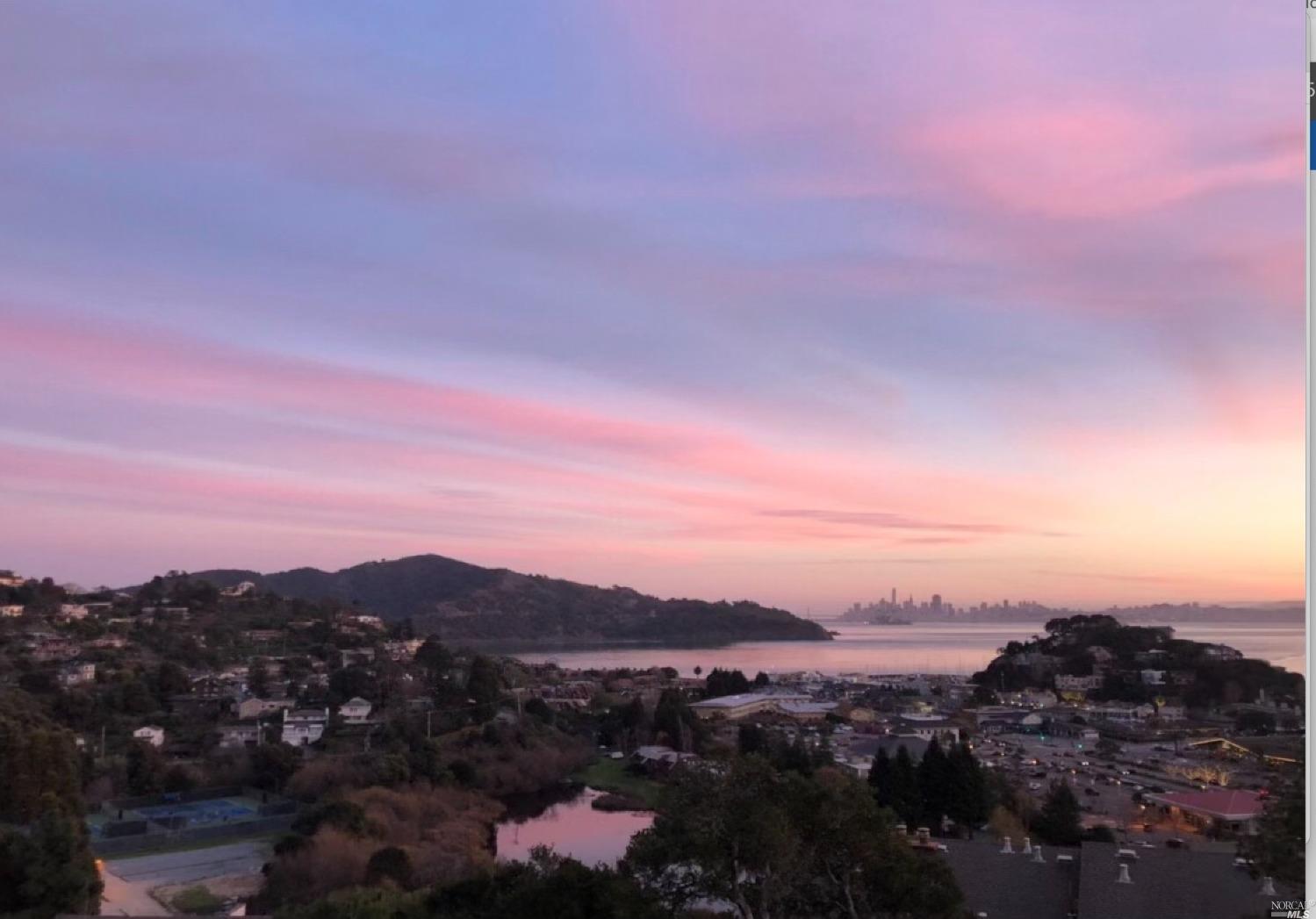 Detail Gallery Image 22 of 27 For 45 Harbor Oak Dr #14,  Tiburon,  CA 94920 - 1 Beds | 1 Baths