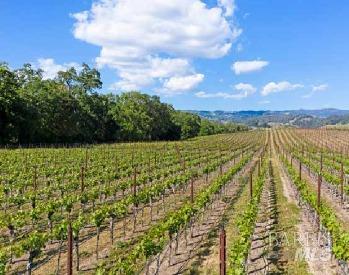 Detail Gallery Image 34 of 39 For 5566 Highway 128 Unkn, Geyserville,  CA 95441 - 3 Beds | 2 Baths