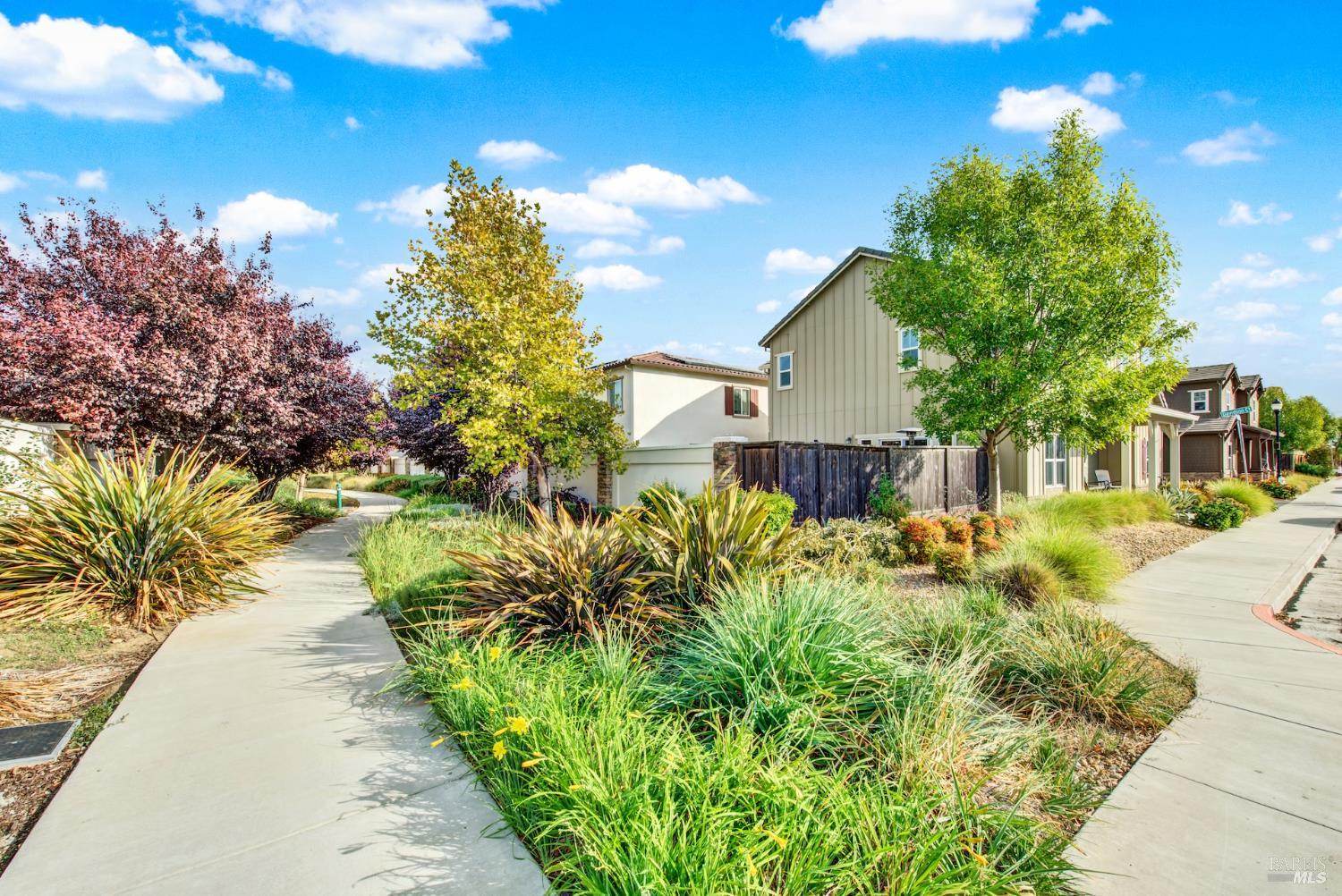 Detail Gallery Image 38 of 46 For 1100 Davidson Ct, Dixon,  CA 95620 - 4 Beds | 3 Baths